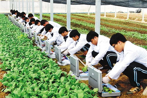 農大溫情畢業(yè)禮 萬斤水果贈學子，暖心與專業(yè)技能并重