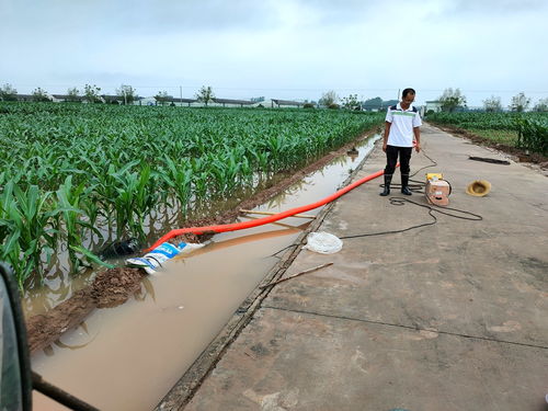 中國農業(yè)科學院作物科學研究所農作物種子經營 科技創(chuàng)新與產業(yè)服務